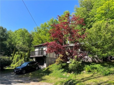 Lake Home Sale Pending in Woodbourne, New York