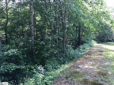 North Saluda Reservoir Lot For Sale in Travelers Rest South Carolina