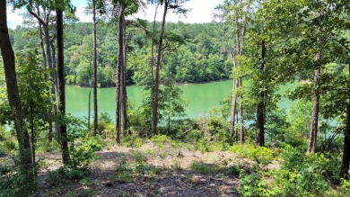 Great Subdivision. Lakefront lot with acreage Convenient to - Lake Lot For Sale in Jasper, Alabama