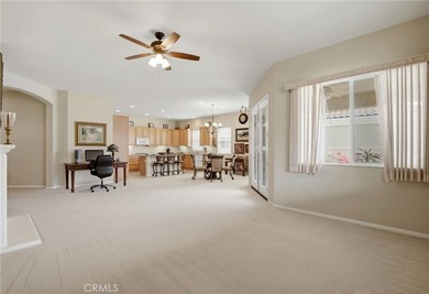 *Emerald* model at Solera, a 55+ active adult community in the - photo 9
