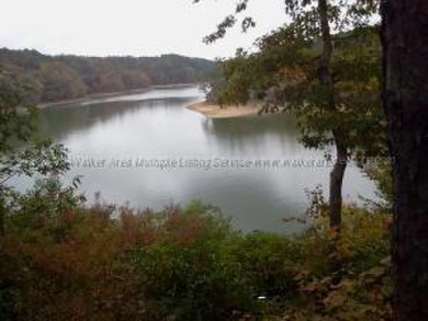This waterfront lot on Smith Lake offers fantastic views of - Lake Lot For Sale in Jasper, Alabama