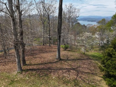 Lake Chatuge Lot For Sale in Hayesville North Carolina