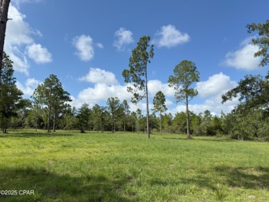 (private lake, pond, creek) Lot For Sale in Marianna Florida