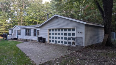 Lake Home For Sale in Irons, Michigan