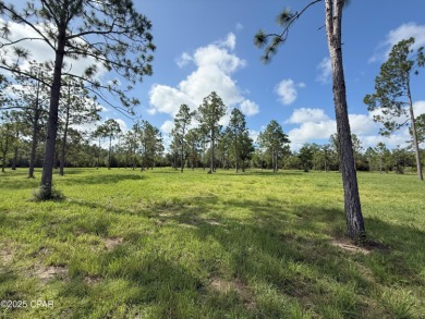 (private lake, pond, creek) Lot For Sale in Marianna Florida