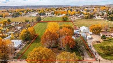 San Juan River Home For Sale in Farmington New Mexico