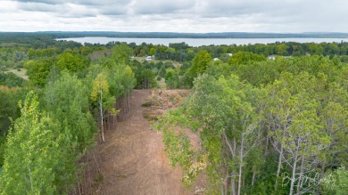 Lake Acreage For Sale in Bear Lake, Michigan