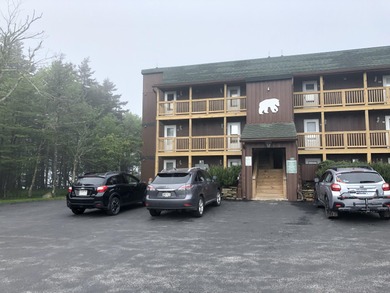 Shavers Lake Condo For Sale in Snowshoe West Virginia