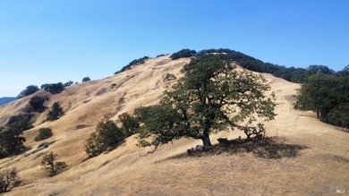 160 acres, 2 houses, plenty of water, and breathtaking views - photo 2