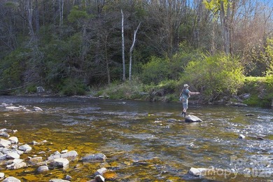 RIVERFRONT home on 2.4 acres in Linville Falls, where the sound - photo 44