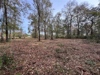 Lake Lot For Sale in Brunswick, Georgia