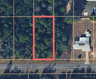 Bonable Lake Lot For Sale in Dunnellon Florida