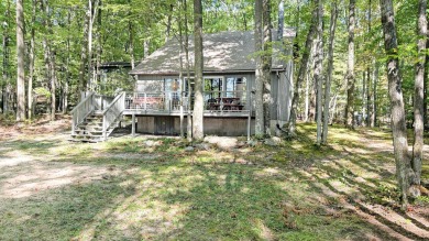 Lake Home For Sale in Lake City, Michigan