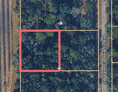 Bonable Lake Lot For Sale in Dunnellon Florida