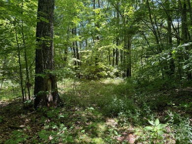 Prominent south facing ridge overlooking Waynesville with - photo 12