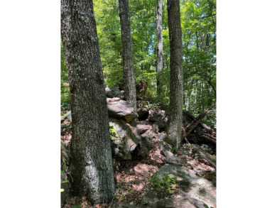 Prominent south facing ridge overlooking Waynesville with - photo 13