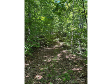 Prominent south facing ridge overlooking Waynesville with - photo 14