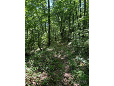 Prominent south facing ridge overlooking Waynesville with - photo 15