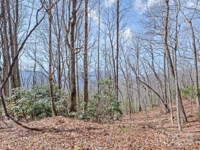 Prominent south facing ridge overlooking Waynesville with - photo 17