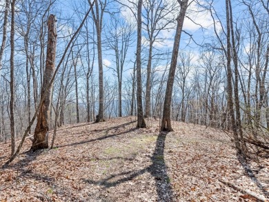 Prominent south facing ridge overlooking Waynesville with - photo 18