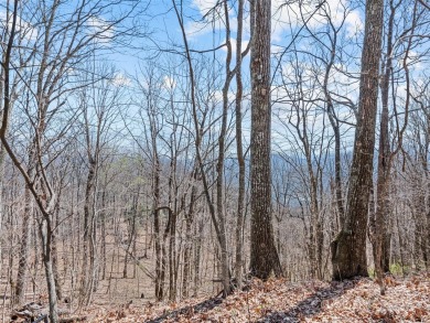 Prominent south facing ridge overlooking Waynesville with - photo 19