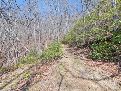 Prominent south facing ridge overlooking Waynesville with - photo 20