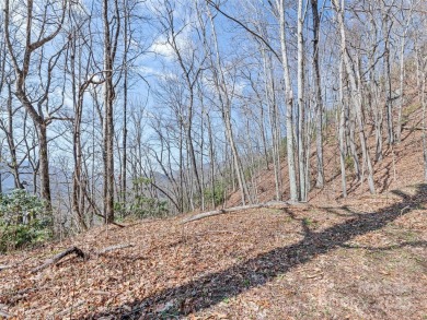Prominent south facing ridge overlooking Waynesville with - photo 21