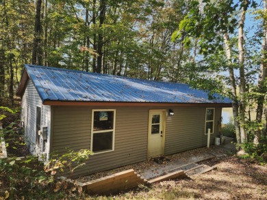 Lake Home For Sale in Weidman, Michigan