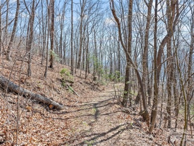 Prominent south facing ridge overlooking Waynesville with - photo 22