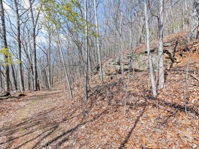 Prominent south facing ridge overlooking Waynesville with - photo 23