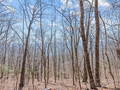 Prominent south facing ridge overlooking Waynesville with - photo 24