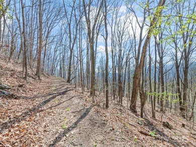 Prominent south facing ridge overlooking Waynesville with - photo 25