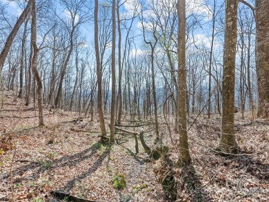 Prominent south facing ridge overlooking Waynesville with - photo 26