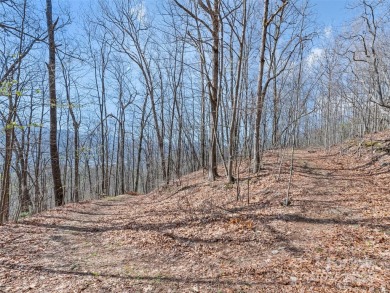Prominent south facing ridge overlooking Waynesville with - photo 27