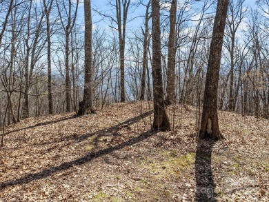Prominent south facing ridge overlooking Waynesville with - photo 28