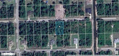 Lehigh Acres Area Lot For Sale in Lehigh Acres Florida