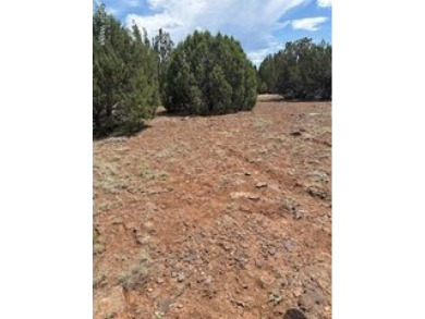 White Mountain Lake Lot For Sale in White Mountain Lake Arizona