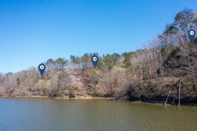 Smith Lake (Rock Creek) Flat Rock Cove is a brand new - photo 4