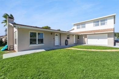 (private lake, pond, creek) Home For Sale in Deltona Florida