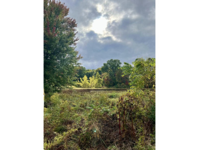 Lake Acreage Sale Pending in Concord, Michigan