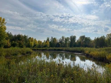 (private lake, pond, creek) Acreage For Sale in Black Creek Wisconsin