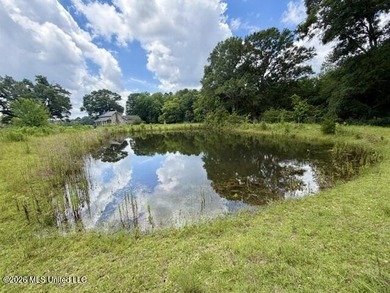Country Charm on 3.5 Acres - Only $149,500! Enjoy the peace and - photo 2