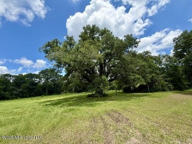 Country Charm on 3.5 Acres - Only $149,500! Enjoy the peace and - photo 5