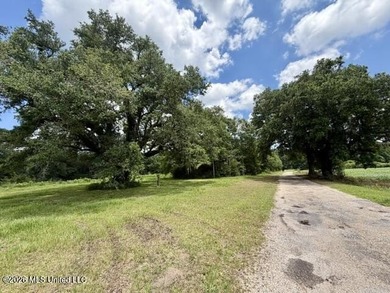 Country Charm on 3.5 Acres - Only $149,500! Enjoy the peace and - photo 6