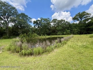 Country Charm on 3.5 Acres - Only $149,500! Enjoy the peace and - photo 9