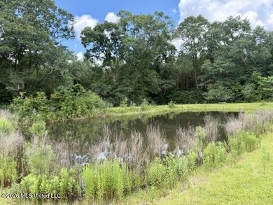 Country Charm on 3.5 Acres - Only $149,500! Enjoy the peace and - photo 10