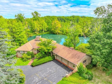 Lake Home For Sale in Concord, Ohio