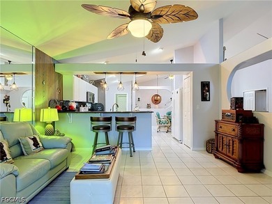 Welcome to Palm Island, one of North Fort Myers' most desirable - photo 11