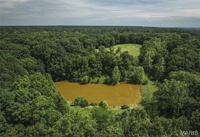 Opportunities to own a farm of this caliber are exceptionally - photo 14