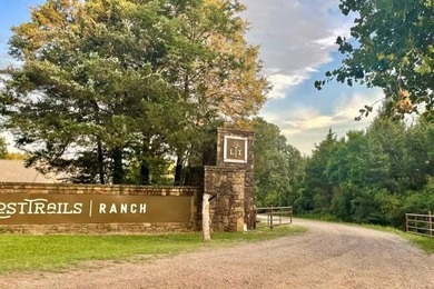 Lost Trails Ranch - 220 Acres of Ozark Adventure & Opportunity - photo 2